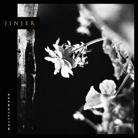Jinjer - Wallflowers album hoes