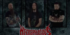 Necrophagous groepsfoto