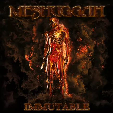 MESHUGGAH -Immutable albumhoes